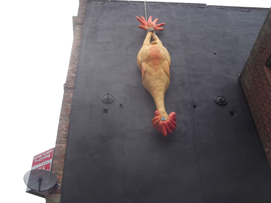 A dangling chicken by Mr.E.Dawe.