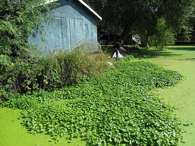 0802_riverlee.jpg