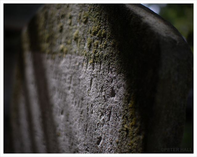 'Dappled' in St Mary's Church graveyard, Walthamstow by Peter Photographic