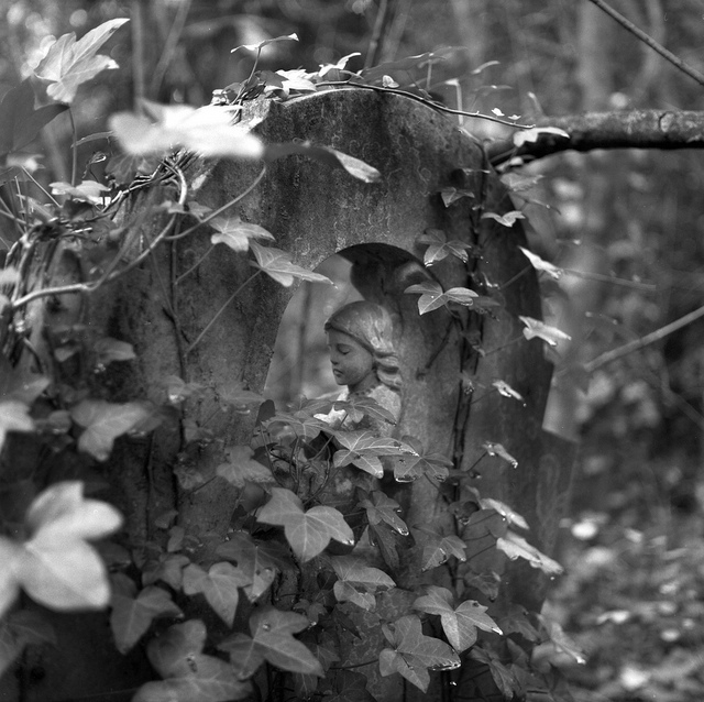 Nunhead Cemetery by tubb