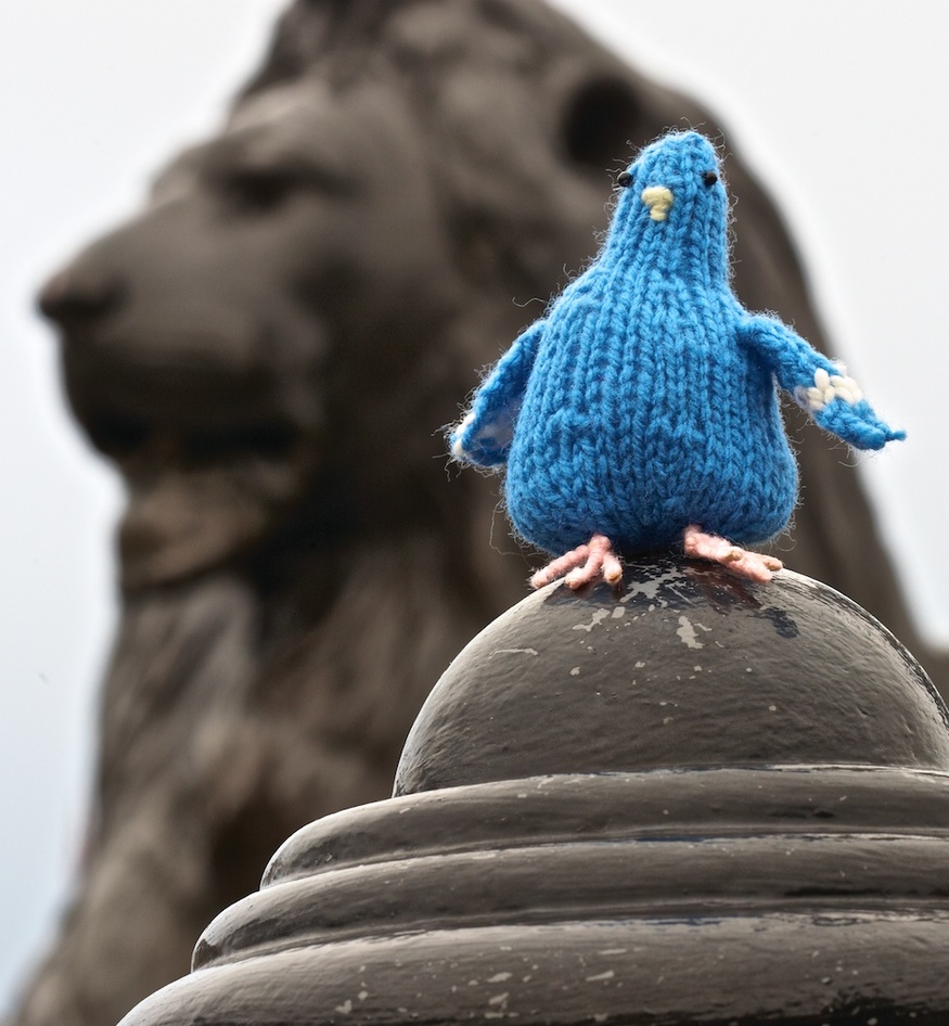 Cooey the Pigeon, © F&amp;W Media