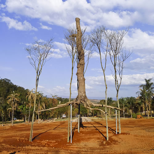 Giuseppe Penone, Elevazione bronze 5 guarita trees photo © Archivio Penone 