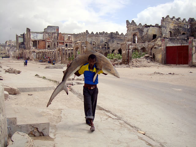 1st Prize Daily Life Single: Feisal Omar, Somalia, for Reuters. Man carries a shark through the streets of Mogadishu, Somalia, 23 September
