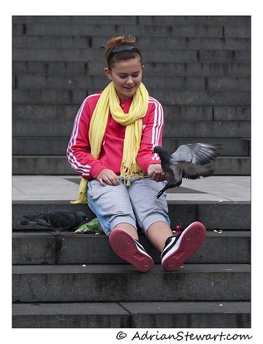 Feeding the birds by Adrian Stewart