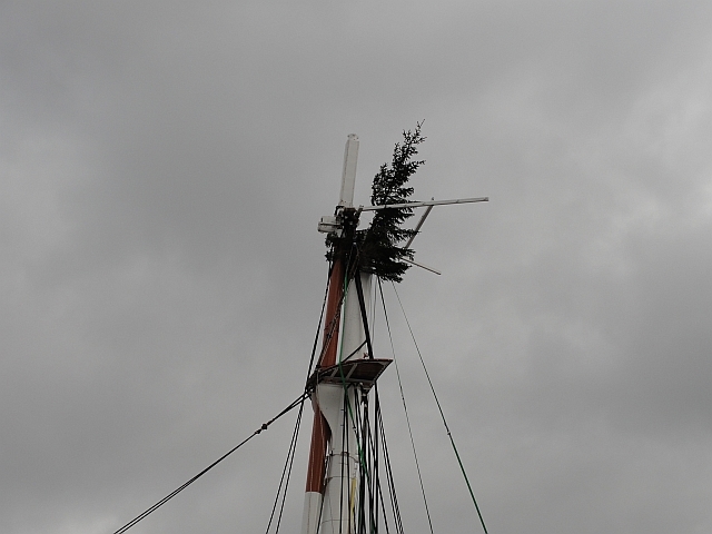 The tree, looking a little forlorn and windswept this lunchtime