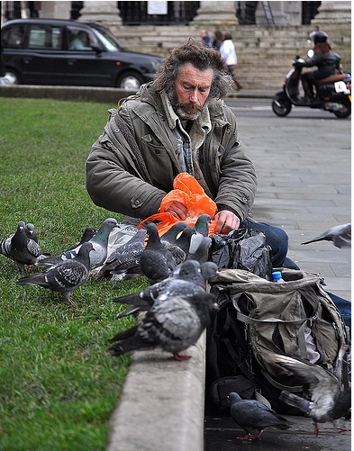 A man and his birds by John Kortland
