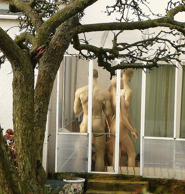 A peep into a suburban conservatory, Eltham by helenoftheways