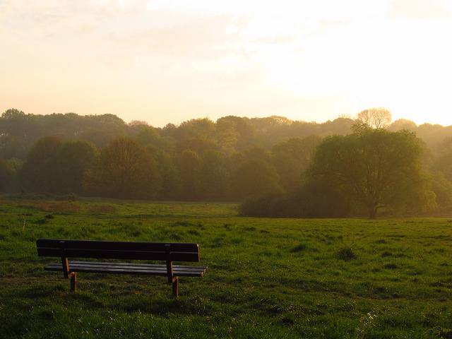 Hampsted Heath nice and early, by Laura Nolte