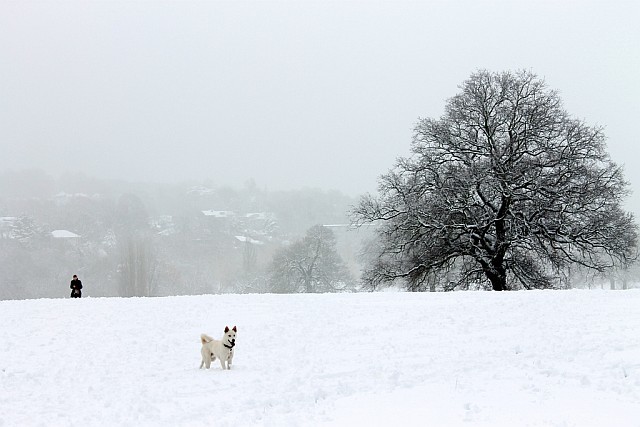 london_snow_hampstead_heath.jpg