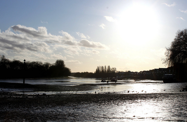 Sunny, muddy river at Chiswick, by curry15