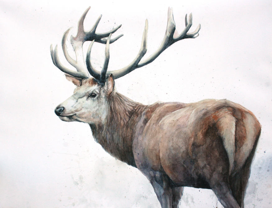 Alex Egan, Red Stag