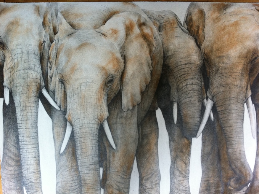 Dominique Salm, Watering Hole