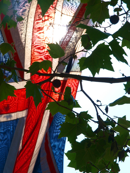 Through the sun and leaves, by Darren Lehane
