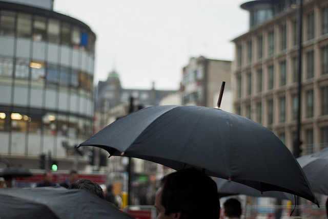 Gimme shelter by David Telford