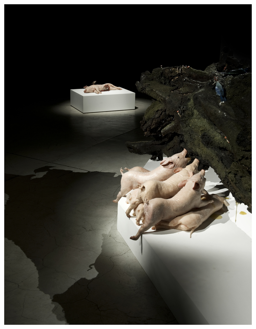  Installation view Endless Plains, courtesy All Visual Arts, photo: Tessa Angus