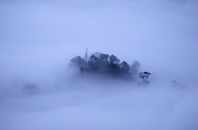 Thomas Endlein / www.tpoty.com