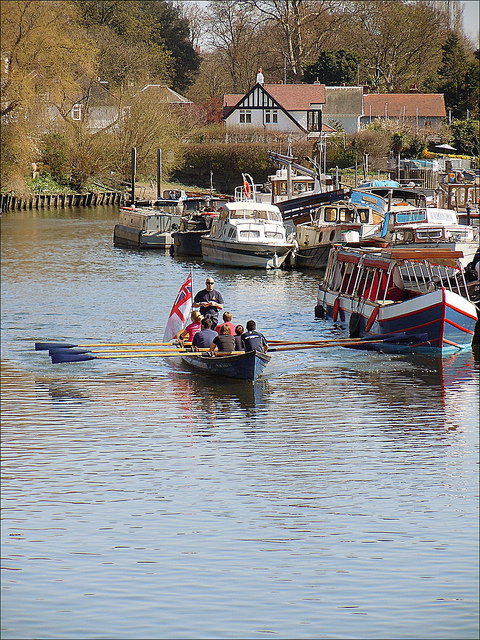 Rowing near Twickenham, by Andy Blackwell