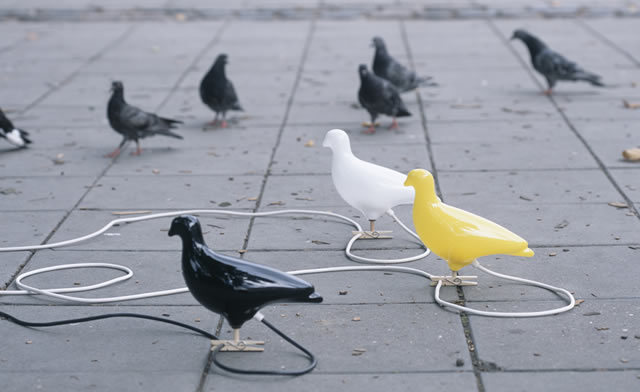 Pigeon Lights and non-plussed pigeons