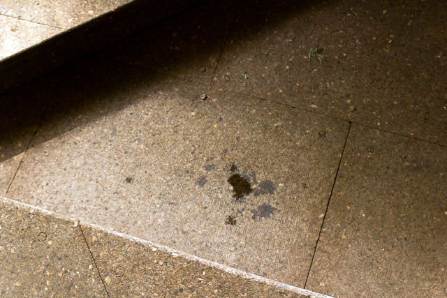 Careless wine-handling? Nope, a minor leak from the roof. 