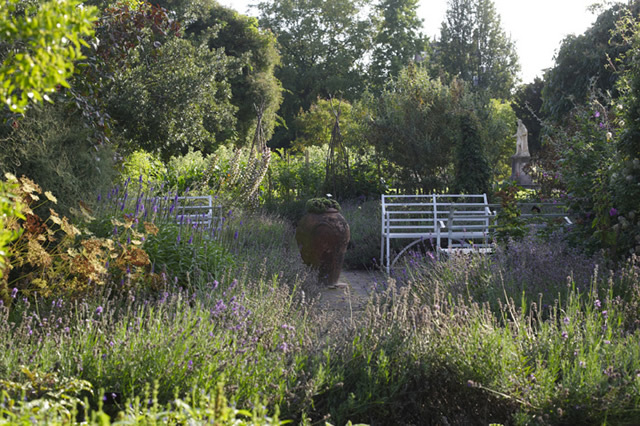 The Chelsea Physic Garden  © Charlie Hopkinson
