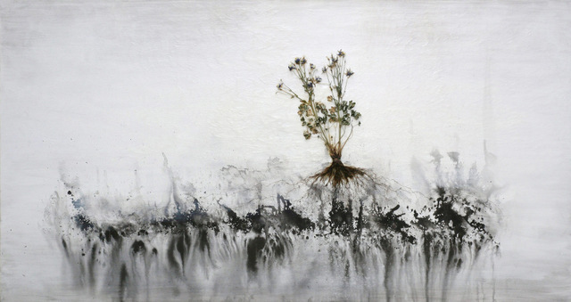Jay Hyung Kim, Plants are Rooted in the Mind