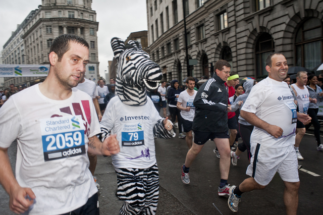 Zebra running.