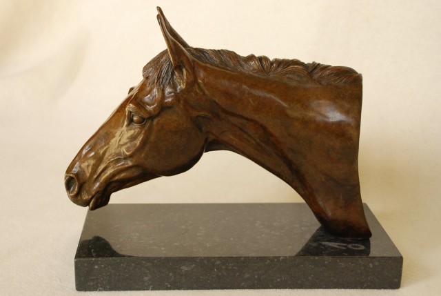 Hannah Shergold - Thoroughbred