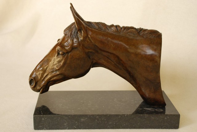 Hannah Shergold - Thoroughbred 