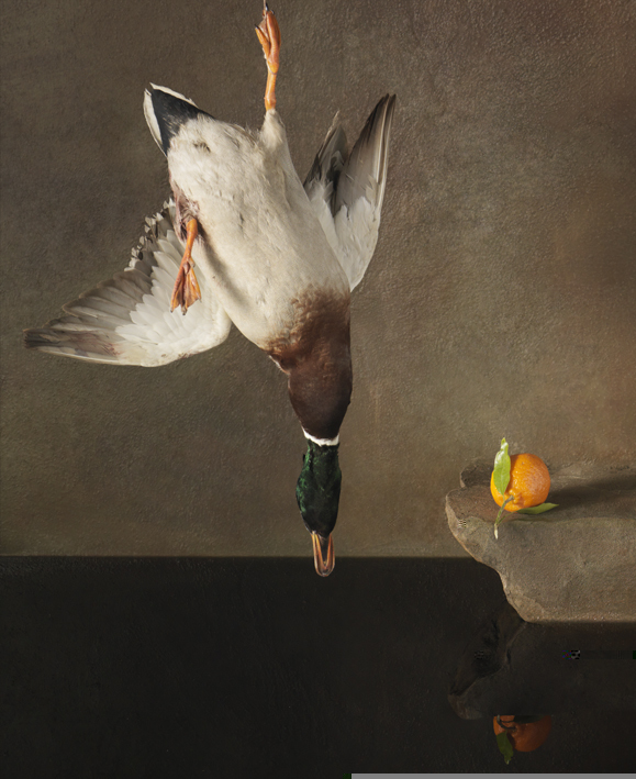 Ori Gerscht, Falling Bird Imbalances. Courtesy Sarah Myerscough