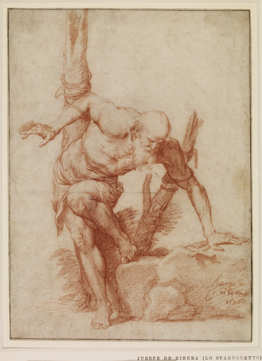 St Albert tied to a tree, 1626, Jose de Ribera (1591-1652), Drawing, 232 x 170 mm. Copyright of the Trustees of the British Museum