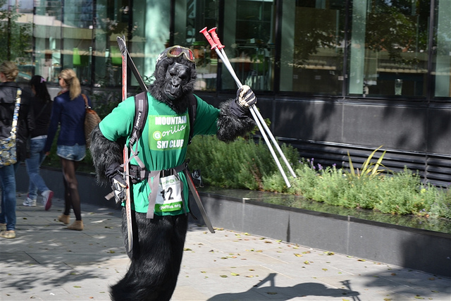 Is using ski poles cheating?