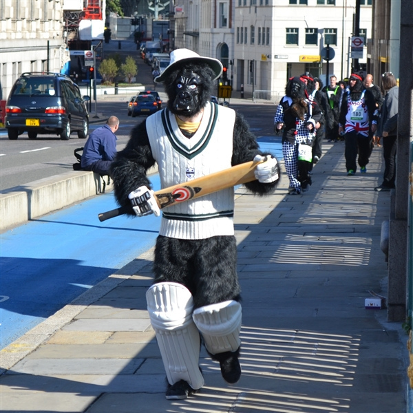Anyone for cricket?