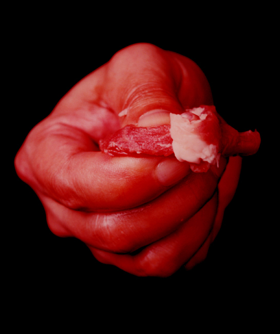 Gu Dexin 1997-6-16-1998-6-13 (1997-8) © the artist 2012 Image courtesy the artist and GALLERIA CONTINUA, San Gimignano / Beijing / Le Moulin. Collection Timothy Van Housen &amp; Ellen Kim-Van Housen