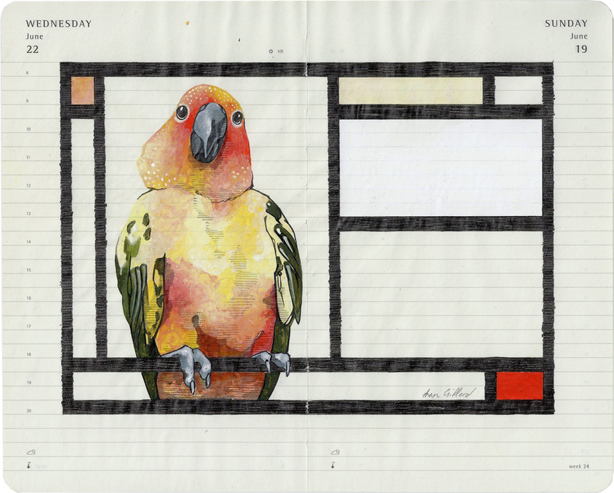 Fran Giffard, 'O'  from the series 'O for Ornithology'.