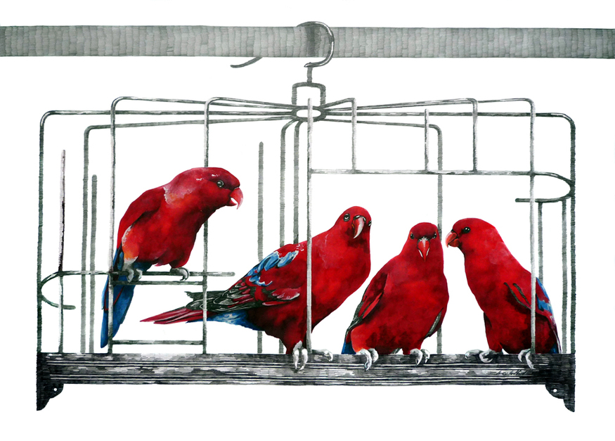 Fran Giffard, 'Red II' from the series 'Swatches'.