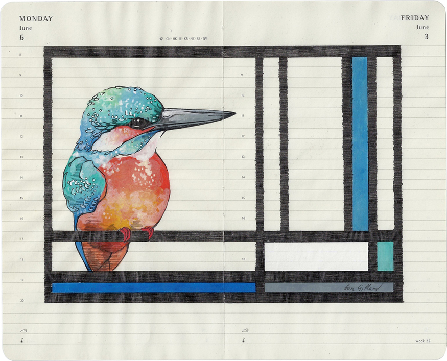 Fran Giffard, 'U'  from the series 'O for Ornithology'.