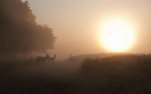 Image by Don Kiddick