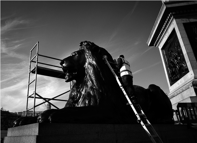 Cleaning the Lions by Andrew Bissett