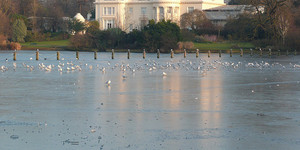 London's Forgotten Disasters: Ice Skating Tragedy In Regent's Park