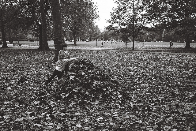 Free & Cheap London Events: 12-18 November