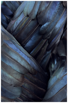 Kate MccGwire. Image courtesy of All Visual Arts