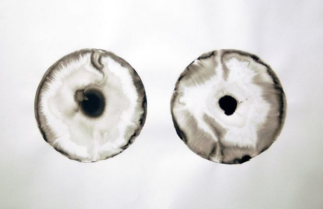 Adeline de Monseignat, Tantal Eyes, 2012. Courtesy the artist and Ronchini Gallery