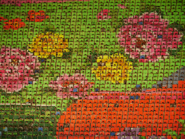 ARIRANG Mass Celebrations, Pyongyang, North Korea
Mosaic of Kim-Jong-Ilia Begonia, specially created to bloom only on his birthday February 16
Â© Jeremy Hunter 2011
ww.jeremyhunter.com