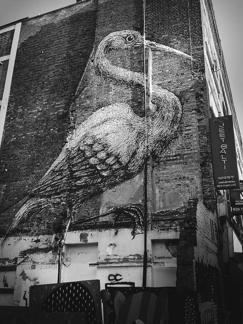 Roa's big bird by monkeyhangeruk