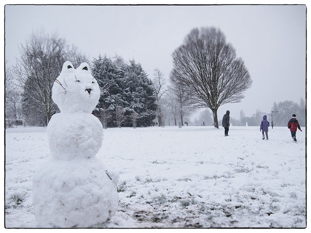 Snow cat by Kate in Brixton