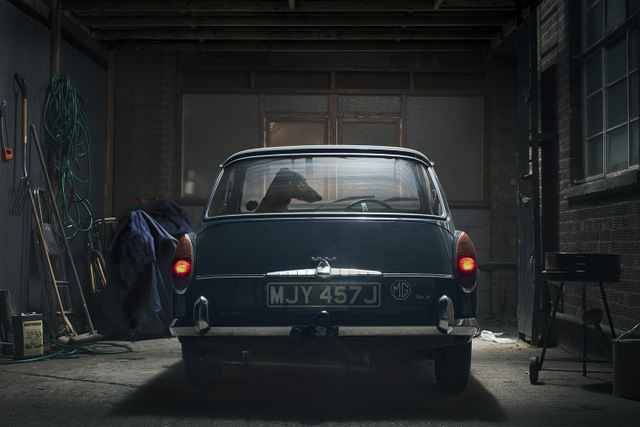 Dasher,  © Martin Usborne