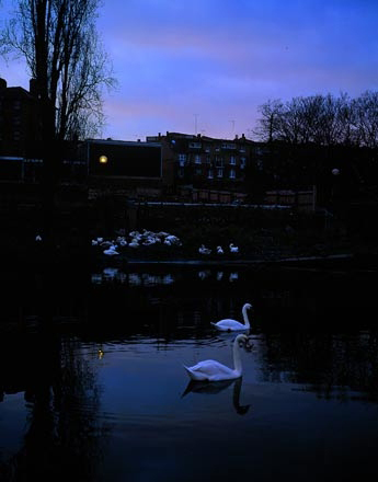 Tom Hunter, Swan Song, 2002, Courtesy of Purdy Hicks Gallery