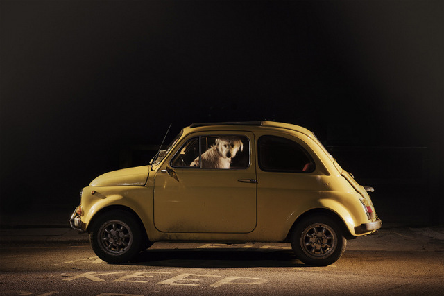 Milo,  © Martin Usborne