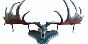 Exhibition Review: Extinction @ Natural History Museum