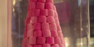 Medicinal Marshmallows From The Marshmallow Apothecary